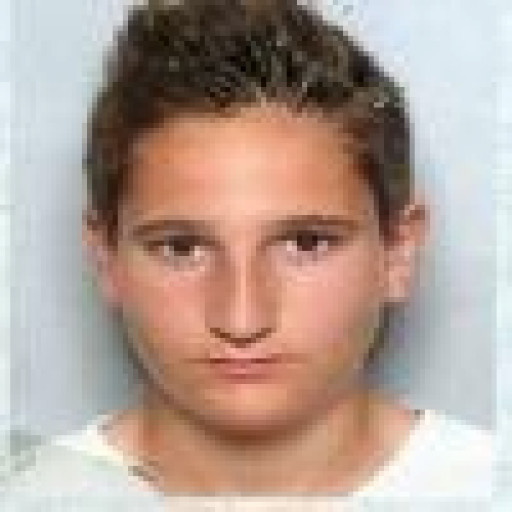 Julien  Paingris 